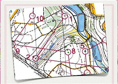 Newmillerdam Map snippet